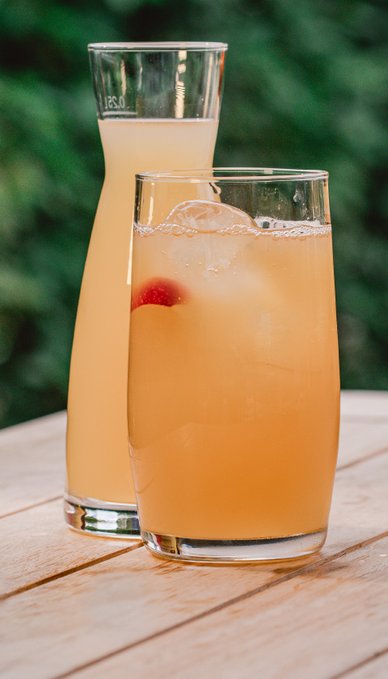 Zwei Gläser mit einem erfrischenden, sprudelnden Getränk stehen auf einem Holztisch, umgeben von grünen Pflanzen.